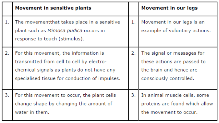 NCERT Solutions for Class 10 Science Chapter 7 Control and Coordination